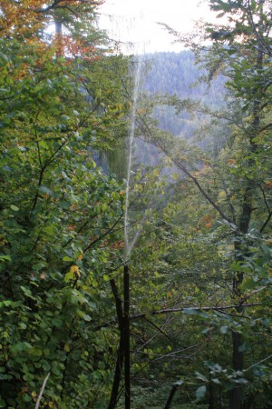 Die Urkraft einer Quelle